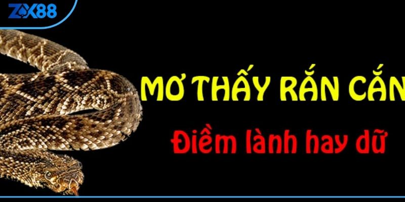 Giải mã mơ rắn cắn là điềm gì